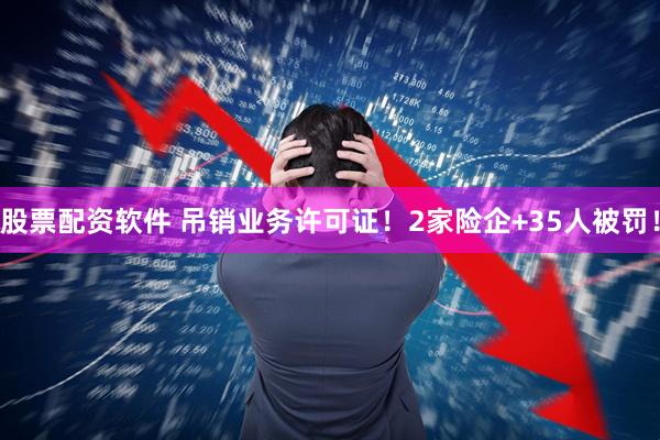 股票配资软件 吊销业务许可证！2家险企+35人被罚！