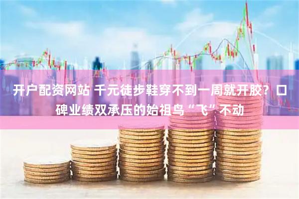 开户配资网站 千元徒步鞋穿不到一周就开胶？口碑业绩双承压的始祖鸟“飞”不动
