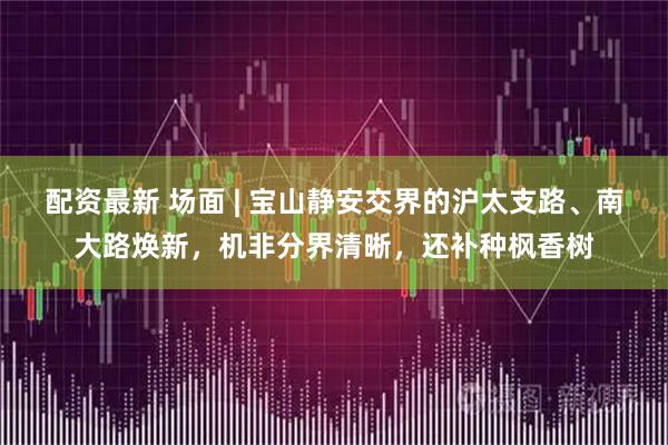 配资最新 场面 | 宝山静安交界的沪太支路、南大路焕新，机非分界清晰，还补种枫香树